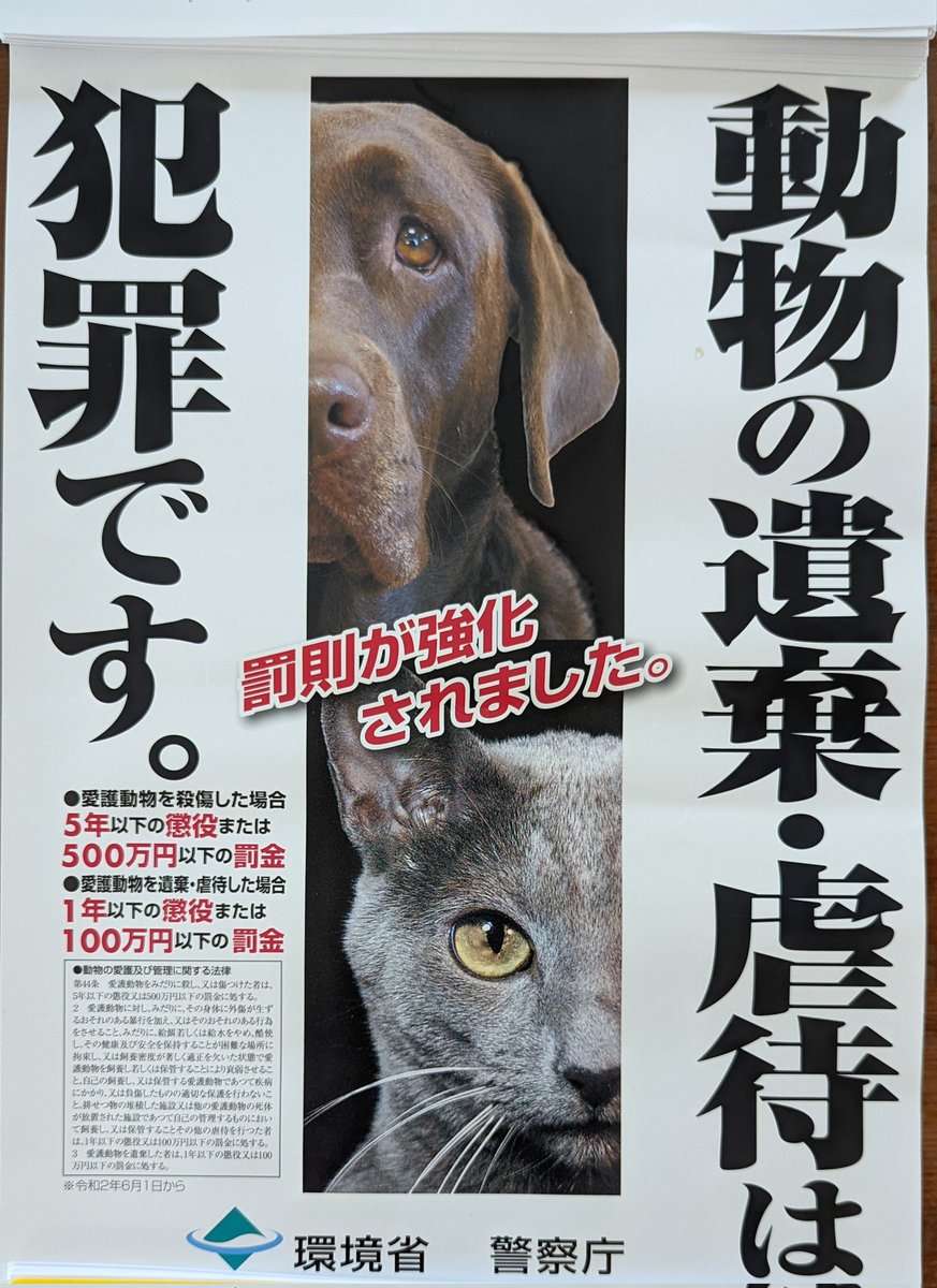 hanyans12's tweet photo. 啓蒙活動も大切と思い、町内の回覧板で回して貰うことに❗ポスターも張って貰いました。明日は公園にポスターの掲示お願いに行きます❗#啓蒙活動　#愛護法　#遺棄、虐待は犯罪　#千葉県 https://t.co/maLuOYZCu9
