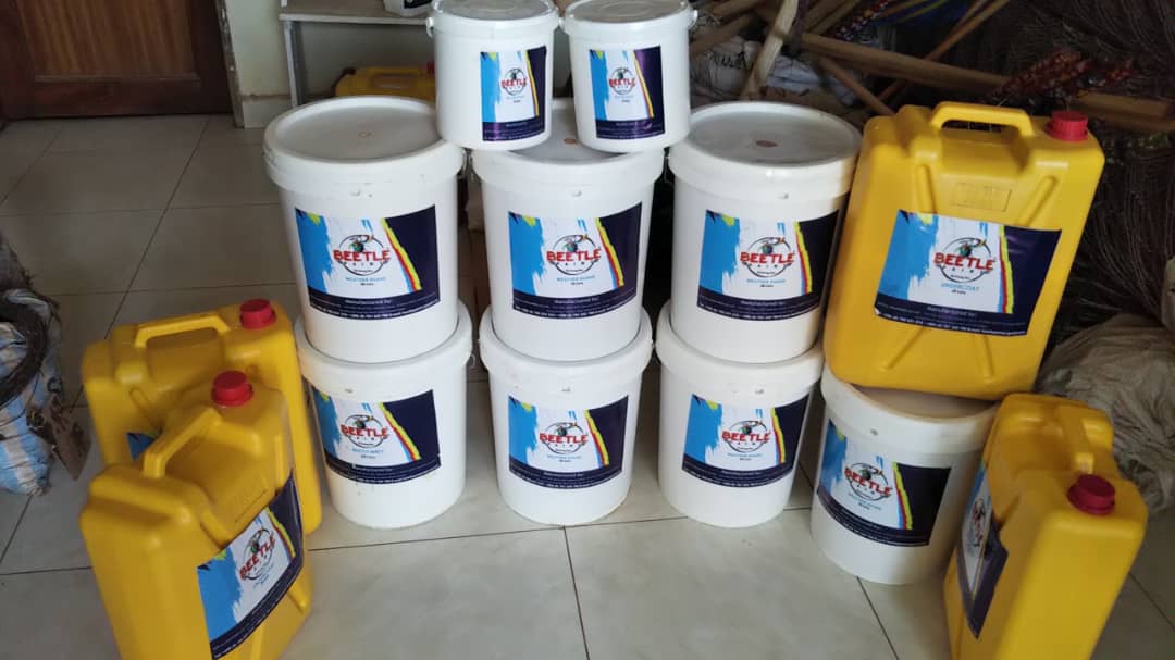 beetlepaint's tweet photo. Buy Beetle Paint-the enduring shine. Buy undercoat, weatherguard, vinyl silk, texture paste, ceiling matt, budget and many other products. https://t.co/l9XVh9gNTO
