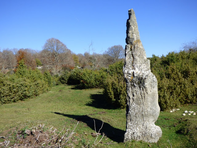 PatrimonioAlava's tweet photo. #ParzoneríadeEntzia. El menhir de #Itaida es una piedra de 3,1 m. y 2.900 Kg. Fue descubierto en 1981. Ha sido reconstruido y recolocado. #Álava
Foto: @iaaaai3 https://t.co/pzVUhKvC2G