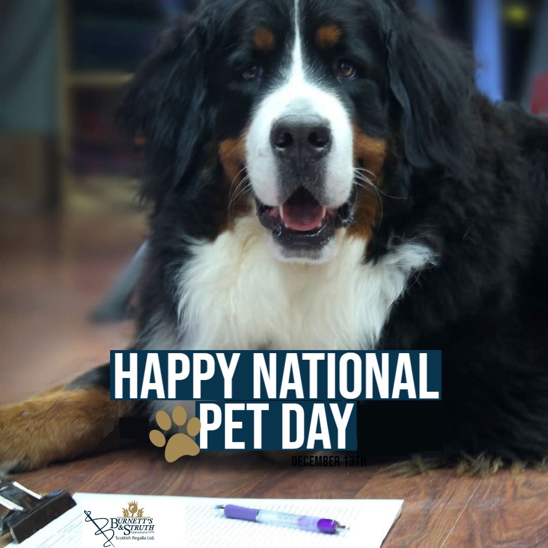 Burnett's and Struth tweet media