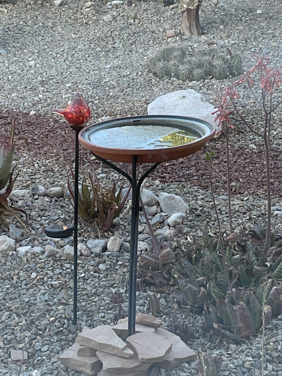 sdubtoday's tweet photo. @just1nbruce In the NW…birdbath still frozen (in the shade)! https://t.co/AdtBHGftAi