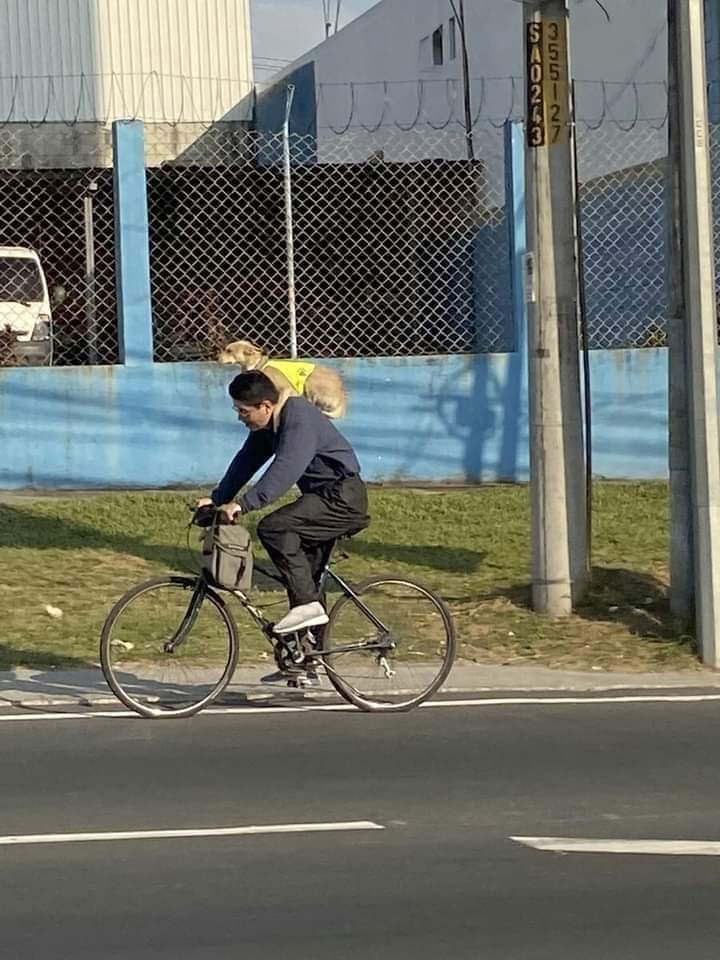Y no importa como lo lleves con tal nunca lo abandones.