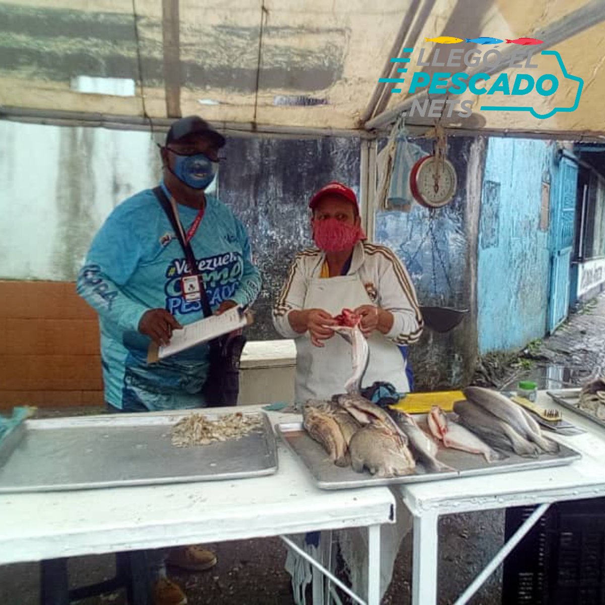Insopescatach's tweet photo. Desde tempranas horas nuestros inspectores salieron a la calle a darle continuidad al operativo de Semana Santa 2022 comprobando el buen estado de los productos Hidrobiológicos para el consumo de nuestra población.
#LlegoElPescadoNets
#DistribuciónHastaElÚltimoRincón
@OlgaLuisaF https://t.co/MgRj9T4QMH