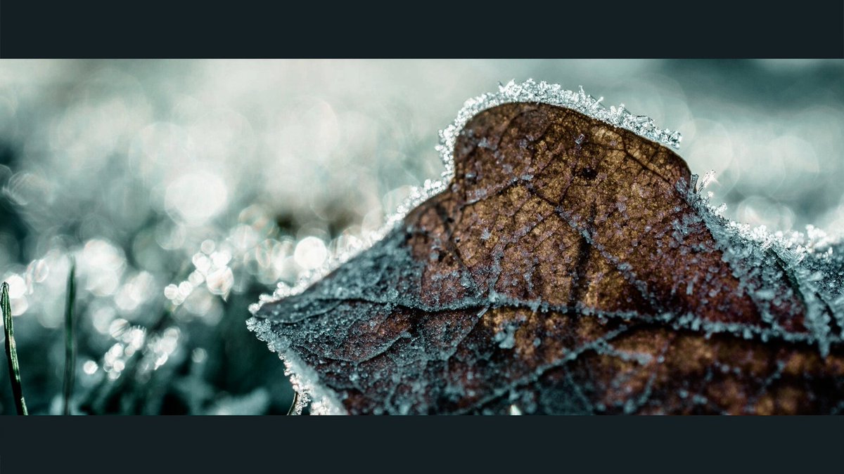 Write_HiRead's tweet photo. 🔸️• WriteHiRead •🔸️

    [ OS / SF ] GOT7
°• SF •° CURSE || Jinyoung &amp; BamBam ¤▪︎Part 4 [ END ]

📎 ลิ้งก์อ่าน :: https://t.co/zrY9uKrUtJ

🌷 #JinBam #จินแบม 
#GOT7 #ฟิคGOT7
@FICGOT7Thailand
#WriteHiRead https://t.co/SvcKSMirNC
