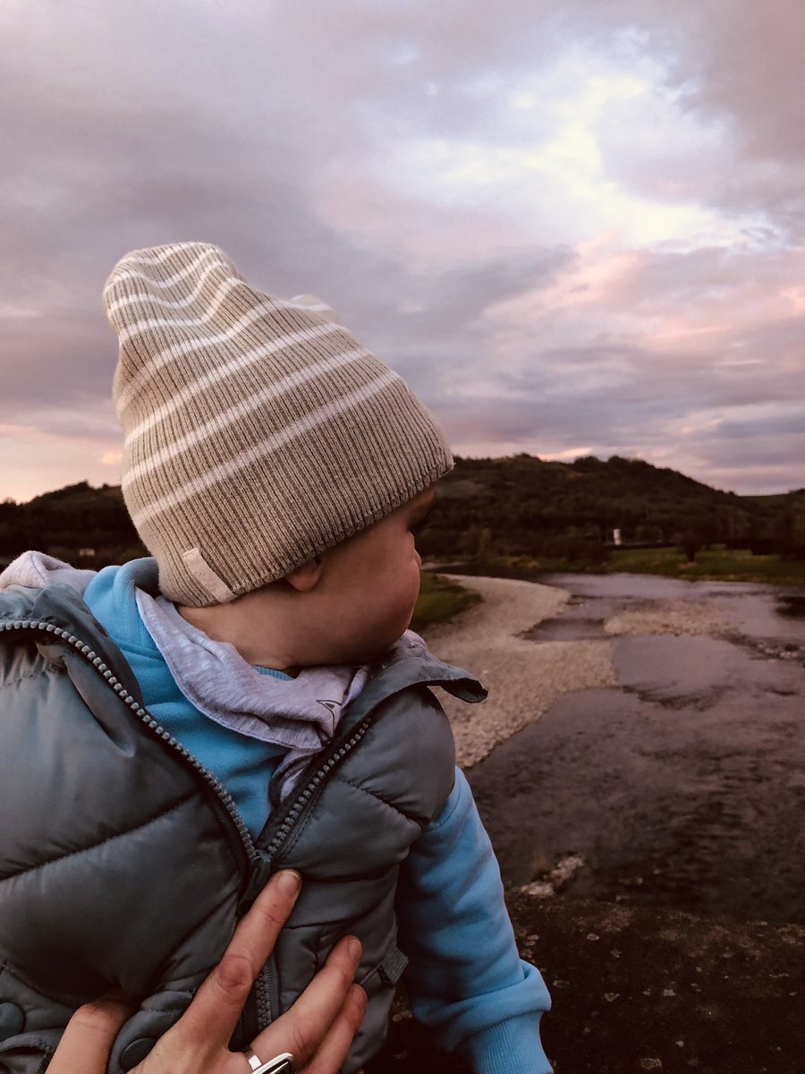 Tanya Tighe tweet media