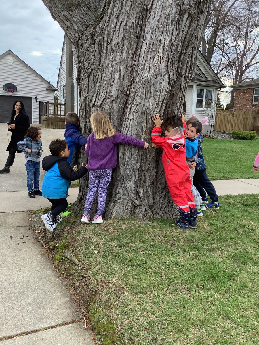 JBrentECE's tweet photo. On our walk we often pass this tree. We believe it is one of the oldest trees in our whole city! Why? Prediction: How many children will it take to give this tree a hug? Well...all of them of course π #mathchat #circumference #naturechat #TreeHugsRock https://t.co/Wb7wjQaO85