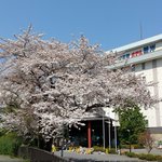 山内学のツイート画像
