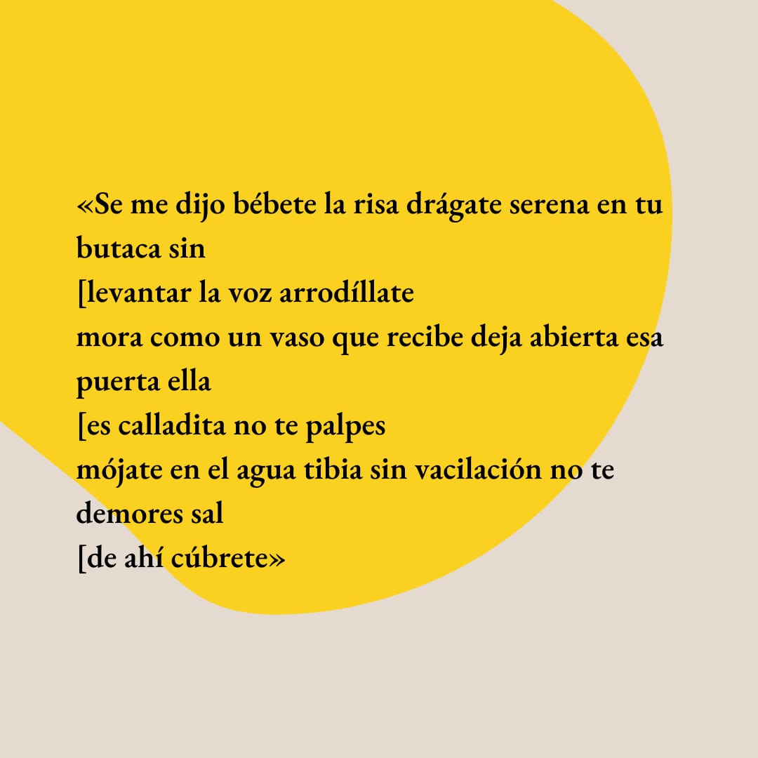 Les traemos un notición. <a href="/elerequena/">Eleonora Requena 🐞</a>  estará de paso por Santiago y decidimos aprovechar la oportunidad para verla, escucharla, leerla. Les esperamos junto a Traza y en @casapalacioelguin, el 19 de abril a las 19:30.

Inscripciones: docs.google.com/forms/d/e/1FAI…