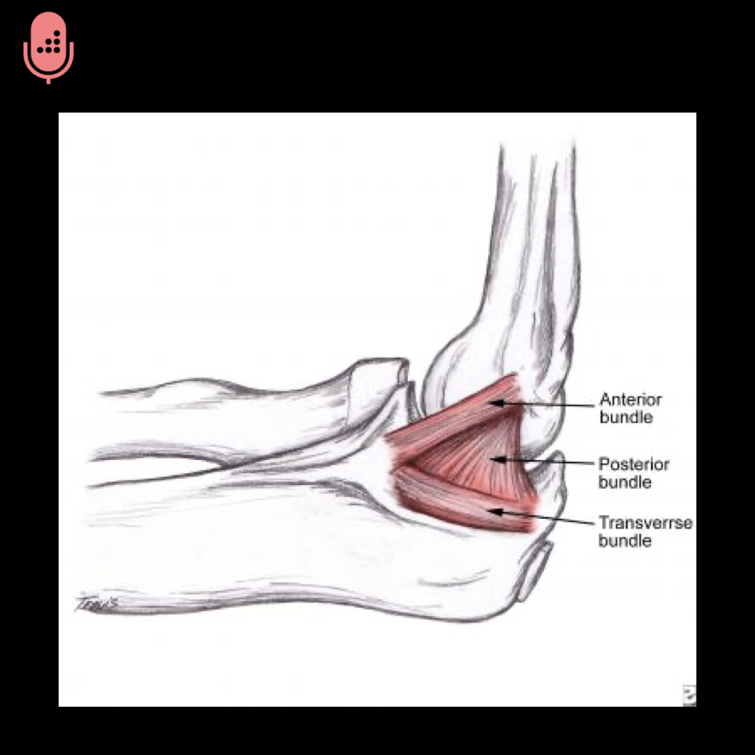 During open release to restore elbow flexion, the posterior band of the medial collateral ligament and posterior capsule are the focus of release.

Learn more about Elbow Anatomy &amp; Biomechanics on our DAILY Orthobullets podcast. #orthotwitter orthobullets.tiny.us/mprbzyfu