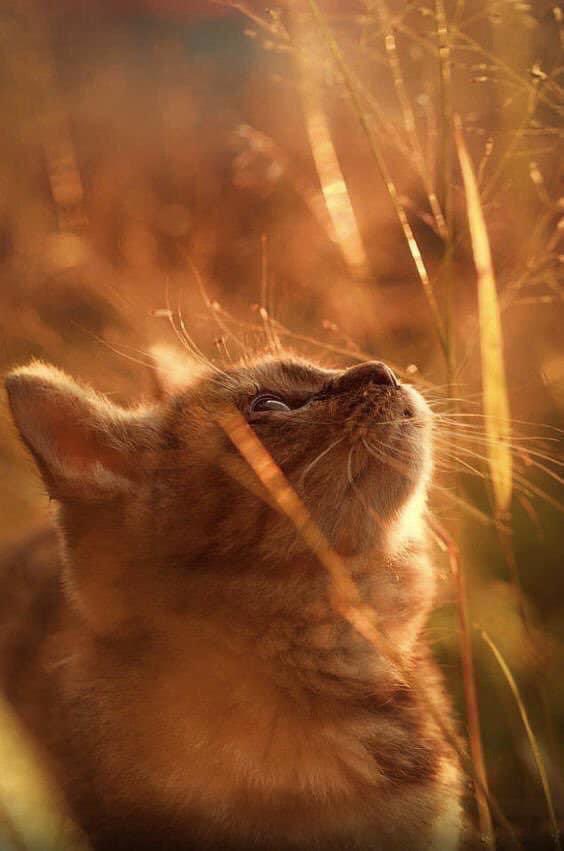 Be happy for this moment.
This moment is your life...

- Omar Khayyam