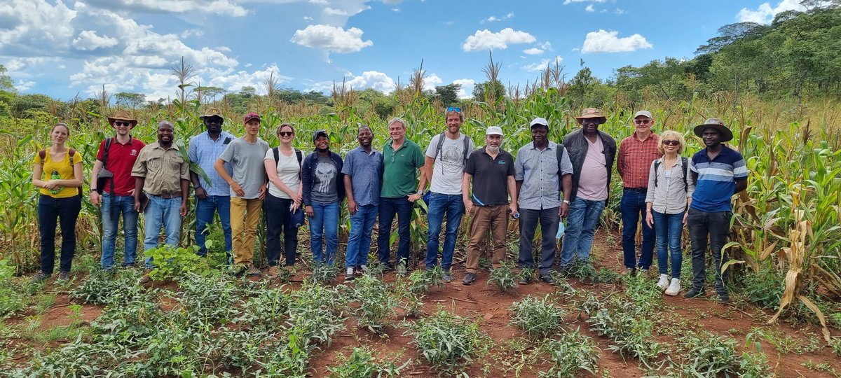 Rémi Cardinael @remicardinael.bsky.social (@remicardinael) on Twitter photo A great group in the #RAIZ project <a href="/euinzim/">EU Delegation to Zimbabwe 🇪🇺</a> 🇿🇼! <a href="/Cirad/">Cirad</a> <a href="/CIMMYT/">CIMMYT</a> <a href="/UZimbabwe/">UofZimbabwe</a> <a href="/CorbeelsM/">Corbeels Marc</a> <a href="/gatien_falc/">Gatien Falconnier</a> <a href="/vgpchimonyo/">Vimbayi Grace Petrova Chimonyo</a> <a href="/isaiah_nyagumbo/">Isaiah Nyagumbo</a> <a href="/RegisChikowo/">Regis Chikowo</a> <a href="/valentin_pret/">Valentin Pret</a> @ama_econ <a href="/CNKamutando/">Casper Kamutando</a> <a href="/HambuloN/">Hambulo Ngoma</a> @AidaDirecteur <a href="/InnovationUmr/">UMR Innovation</a> #agroecology #climatechange 🙏 <a href="/vgpchimonyo/">Vimbayi Grace Petrova Chimonyo</a> for the pics! A great group in the #RAIZ project <a href="/euinzim/">EU Delegation to Zimbabwe 🇪🇺</a> 🇿🇼! <a href="/Cirad/">Cirad</a> <a href="/CIMMYT/">CIMMYT</a> <a href="/UZimbabwe/">UofZimbabwe</a> <a href="/CorbeelsM/">Corbeels Marc</a> <a href="/gatien_falc/">Gatien Falconnier</a> <a href="/vgpchimonyo/">Vimbayi Grace Petrova Chimonyo</a> <a href="/isaiah_nyagumbo/">Isaiah Nyagumbo</a> <a href="/RegisChikowo/">Regis Chikowo</a> <a href="/valentin_pret/">Valentin Pret</a> @ama_econ <a href="/CNKamutando/">Casper Kamutando</a> <a href="/HambuloN/">Hambulo Ngoma</a> @AidaDirecteur <a href="/InnovationUmr/">UMR Innovation</a> #agroecology #climatechange 🙏 <a href="/vgpchimonyo/">Vimbayi Grace Petrova Chimonyo</a> for the pics!