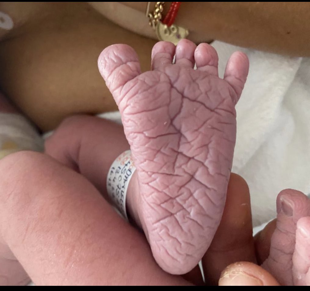 Ran Neuner tweet media