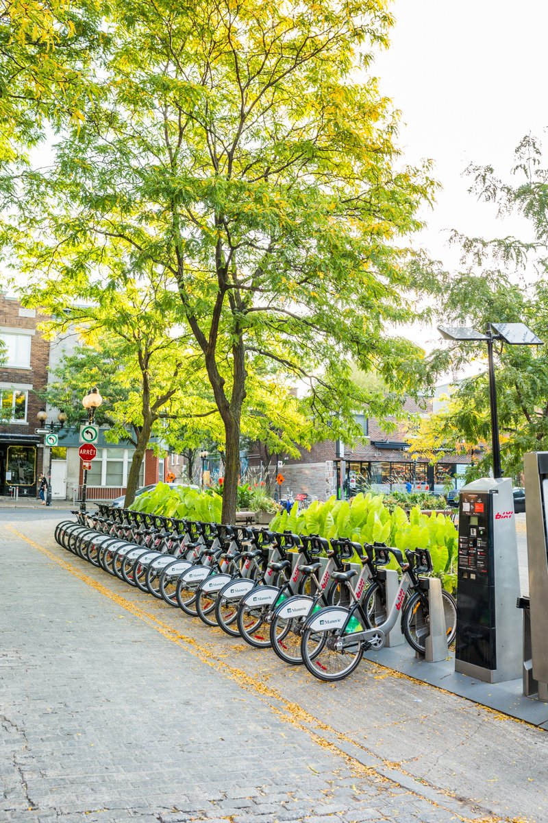 Bixi lance sa saison ce matin! 🎉 Nouveautés pour plus de mobilité :
⚡️ 490 vélos électriques suppl.
📍 31 nouvelles stations
🚉 765 points d’ancrage suppl.

Cette année, on célèbre 50 M de déplacements et 125 M de km parcourus depuis 2009! Abonnez-vous : <a href="/BIXImontreal/">BIXI Montréal</a> #polmtl