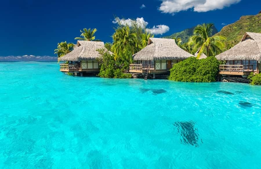 Moorea is a magical island, in magical Tahiti with even more magical villas for you to vacation in.

#moorea #mooreaisland #mooreabeach #tahiti #tahititourisme #visittahiti #tahitiandance #bucketlistdestination #beautifuldestinations #vacationphotography #vacationgoals
