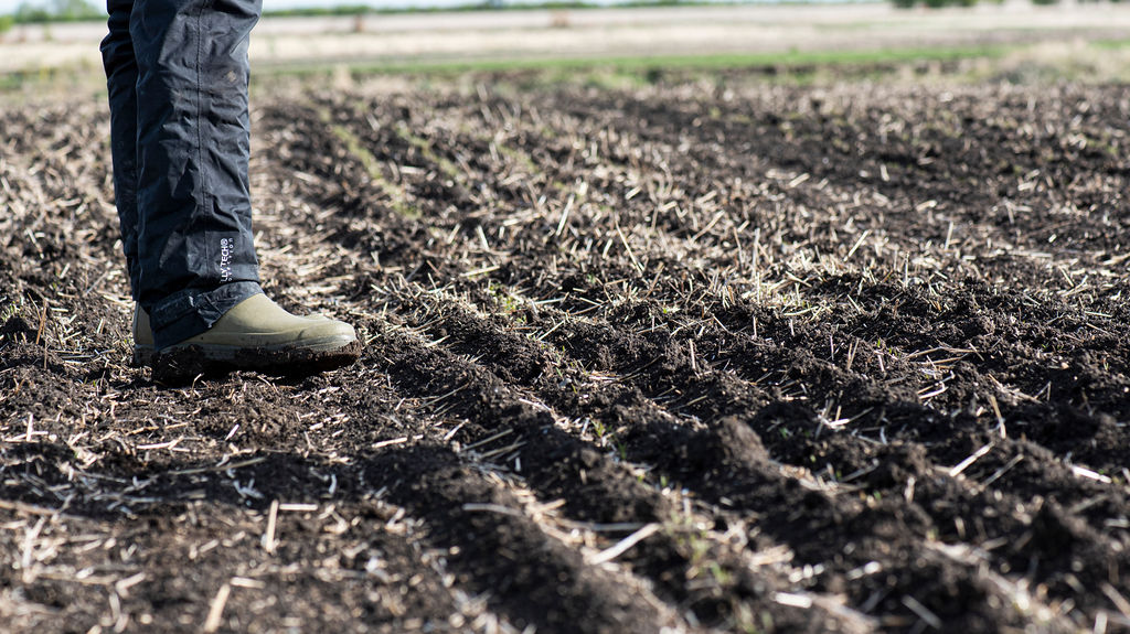 NorQuin | North American Grown Quinoa tweet media