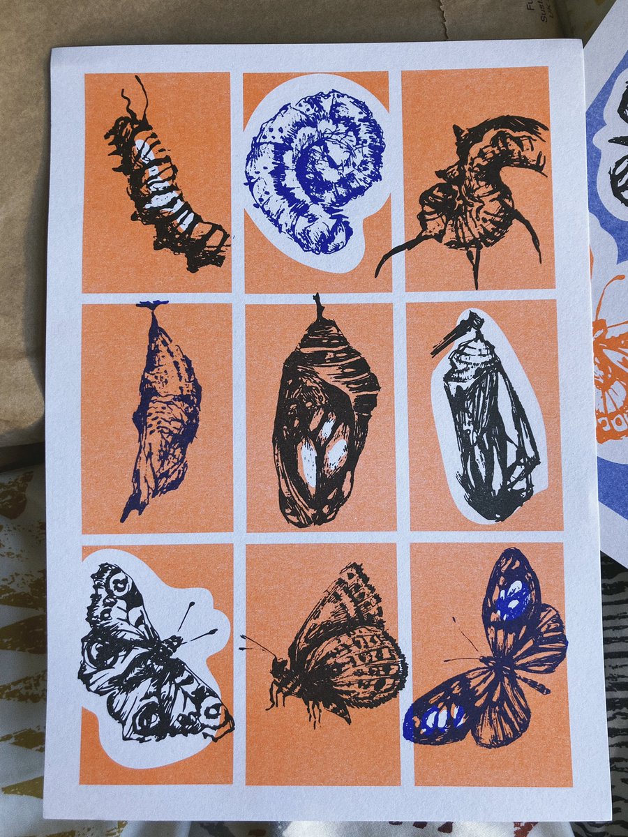 I still have some of my #risograph prints to sell! The #butterfly obsession continues 😌 Feel free to message about them!
#art #artprint #wallprint #risographprint #riso #illustration 
•

etsy.com/uk/listing/121…