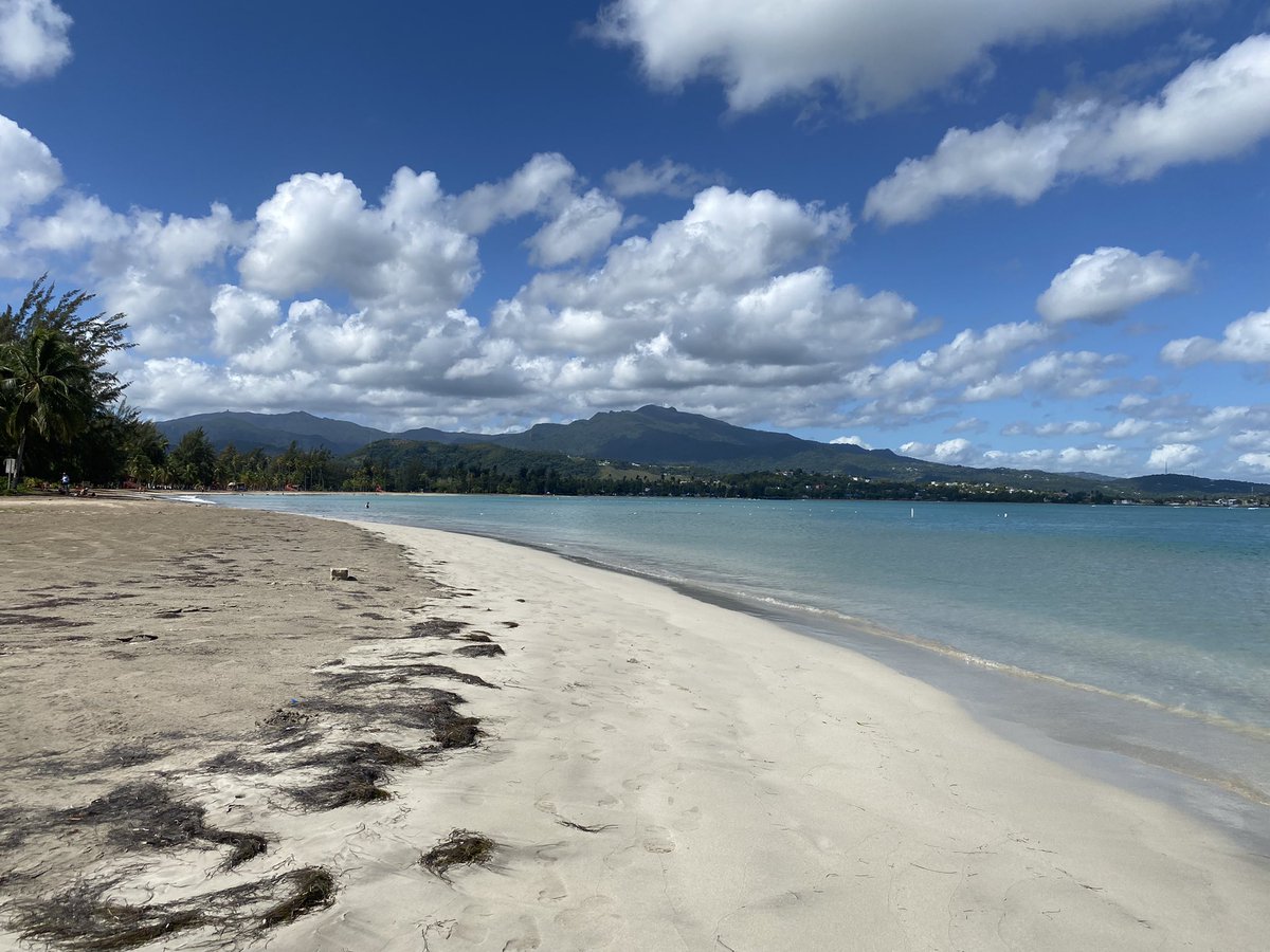 Checked out <a href="/CryptoMondaysSJ/">Crypto Mondays San Juan</a> this week! Since then I’ve pretty much been at the beach! 🏝☀️🌊
#PuertoRico #luquillo #playaluqillo #playacostaazul #playafortuna #beachtime #timeoff #takeabreak