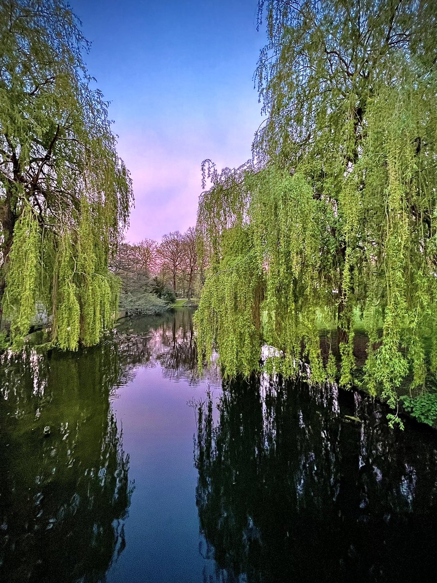 #hetpark #rotterdam #zonsondergang