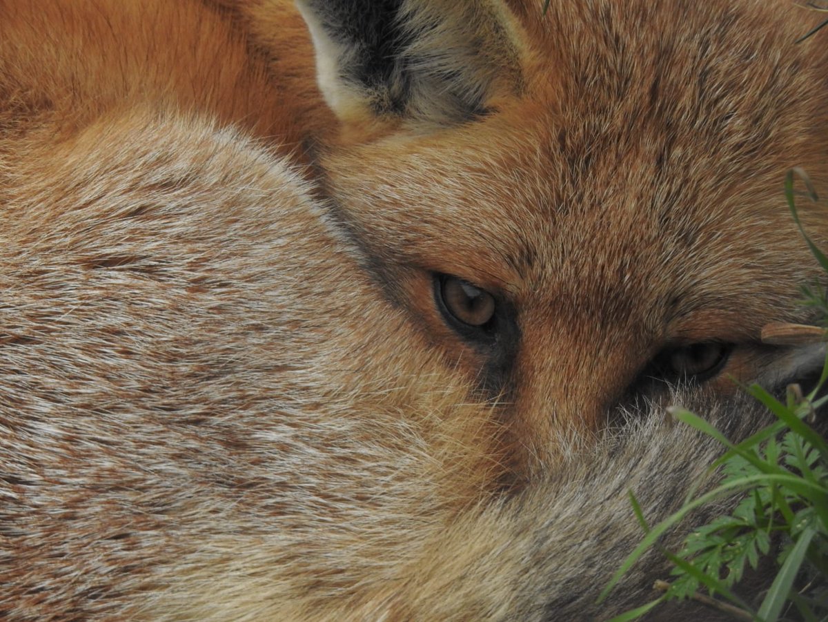 TC Photography tweet media