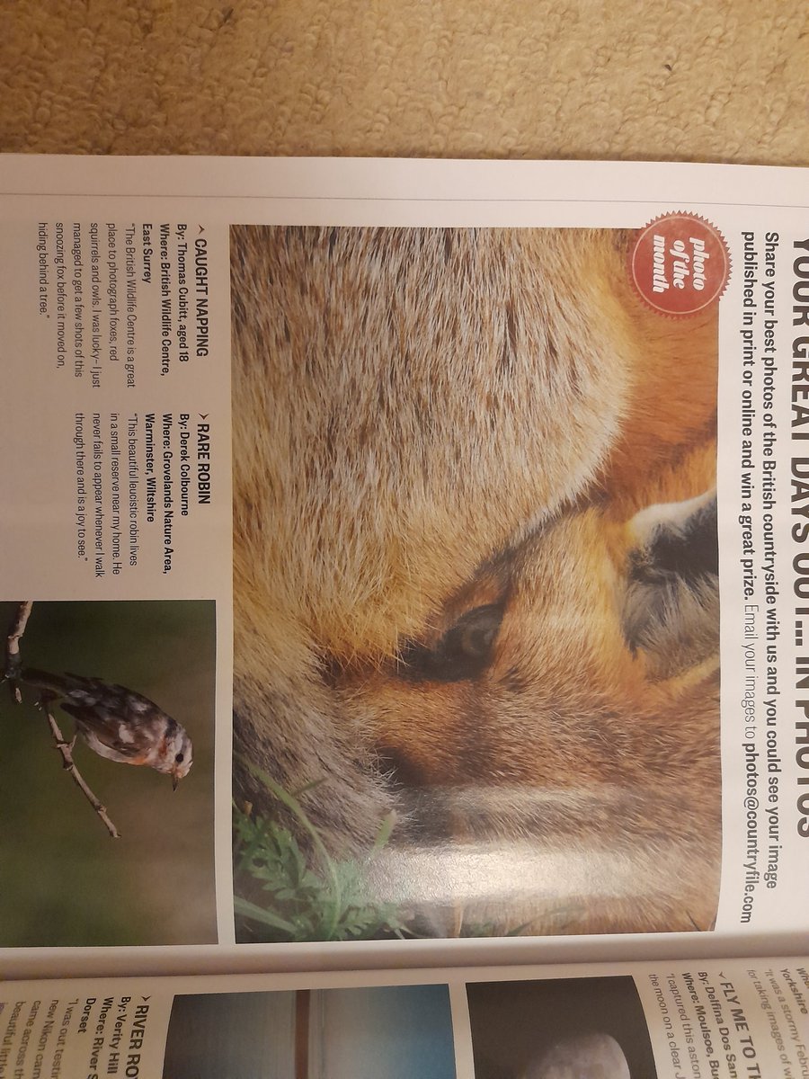 TC Photography tweet media