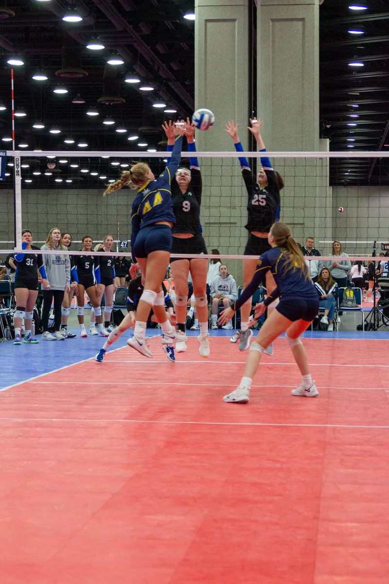 Bree Messenger tweet media