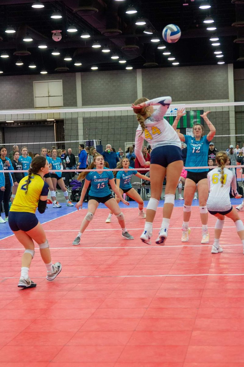 Bree Messenger tweet media