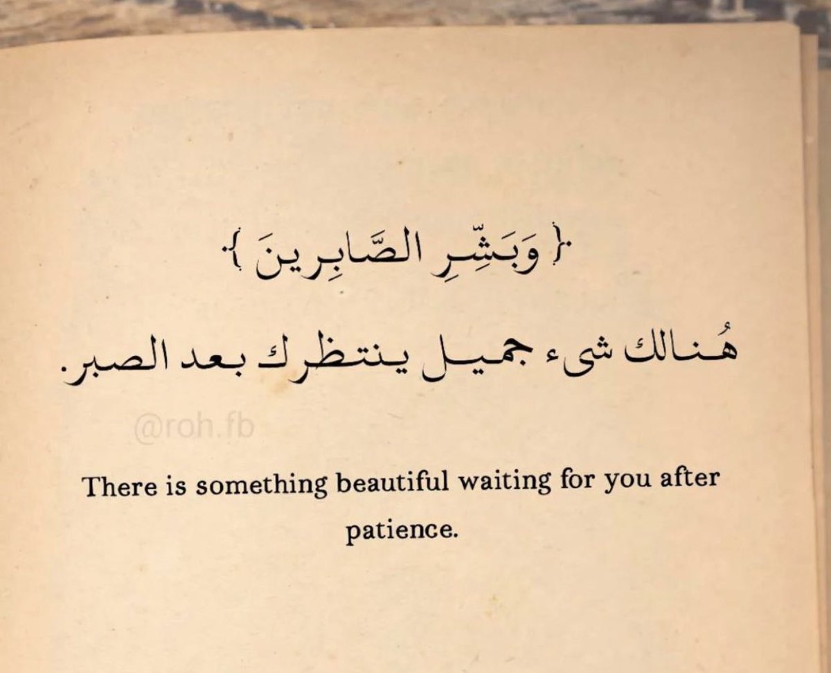 _areeeja's tweet image. 