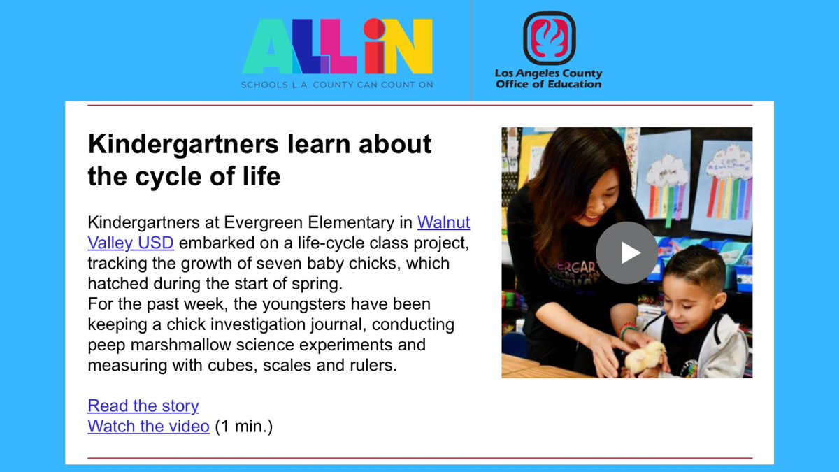 WVUSD_Tweet's tweet image. We’re ALL IN! A fun story about @EvergreenWVUSD baby chicks is featured in this week’s @LosAngelesCOE eNews report: conta.cc/3MdPIrN. Read the story at: bit.ly/3NYDoxg. Video at: bit.ly/3LX092H. #WVUSDProud #TogetherAgain #ReconnectRestoreReimagine