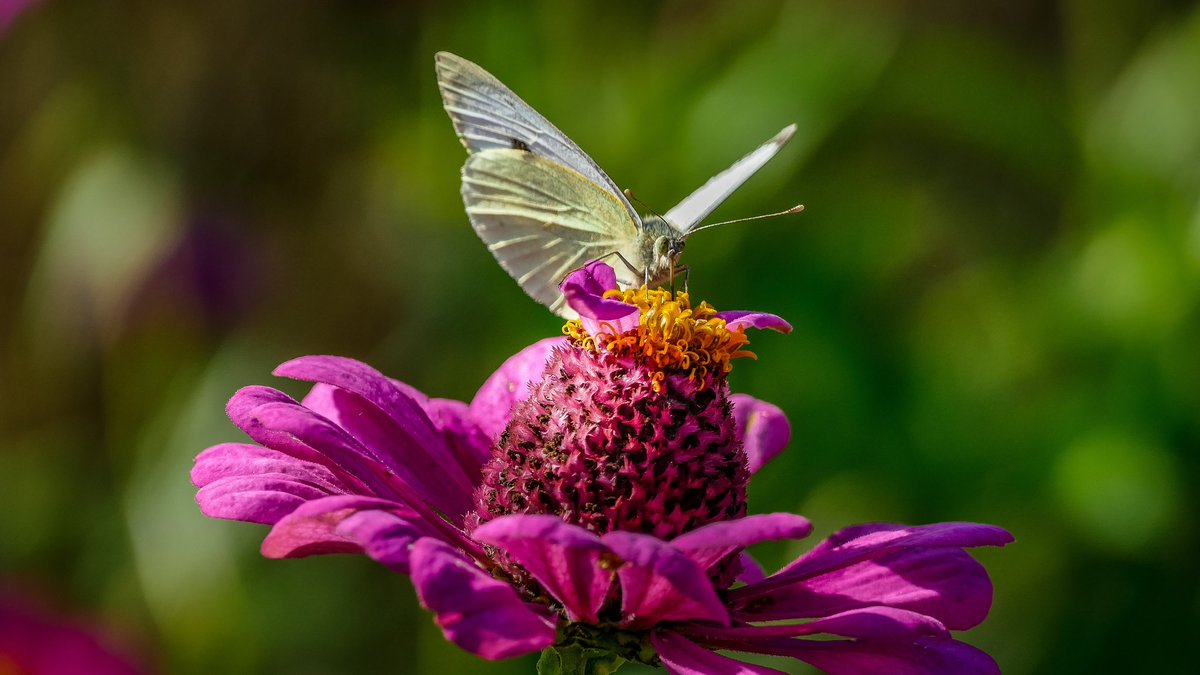 Issy 🍀 tweet media