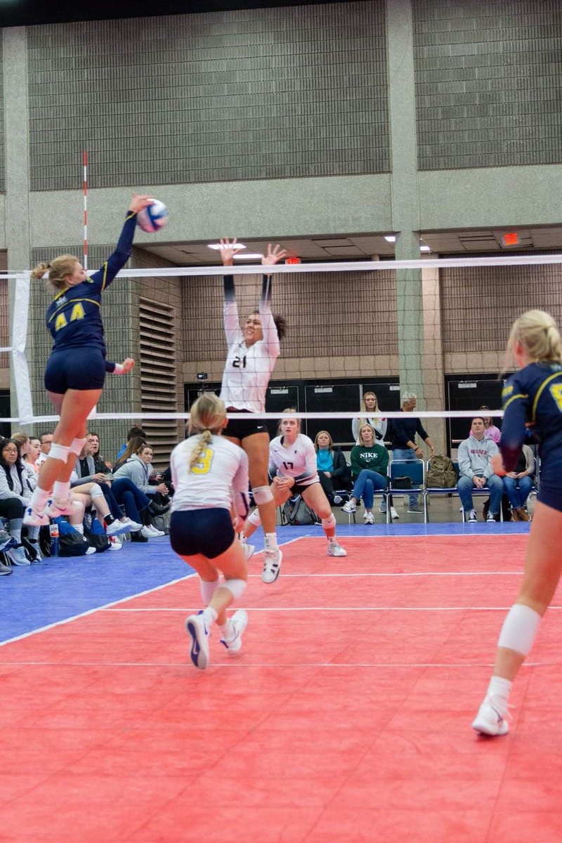 Bree Messenger tweet media