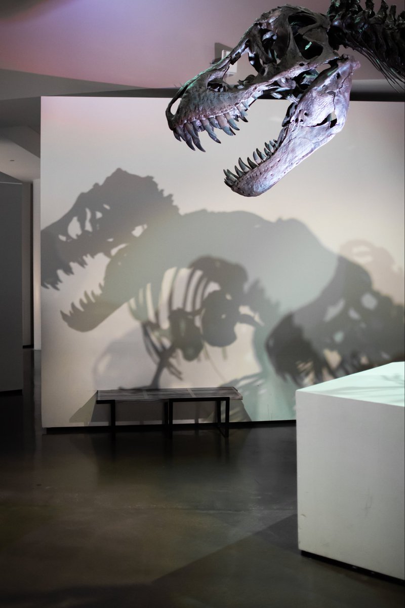 hmns's tweet photo. Happy #FreeThursday, Houston. Our permanent exhibitions are free today from 2pm to 5pm.
All that's missing in this photo is YOU.
🦖❤️
VISIT: https://t.co/XR9aL2aTYU https://t.co/BUvzTJBrom