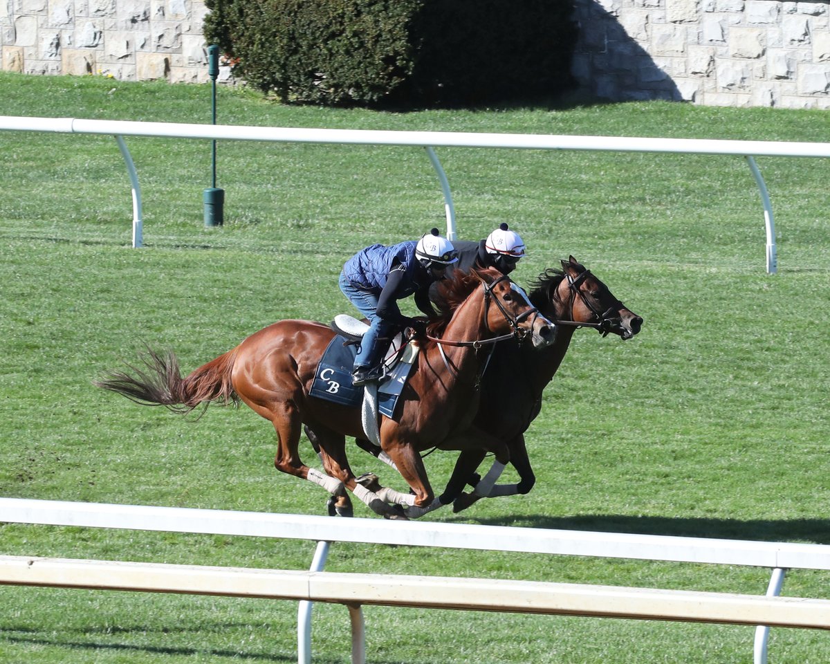 keenelandracing's tweet photo. Regal Glory, Shantisara (IRE) Give Brown Potent Jenny Wiley Hand. Read #BarnNotes → https://t.co/ie44vSt9Ss https://t.co/gpAEJdXoTG