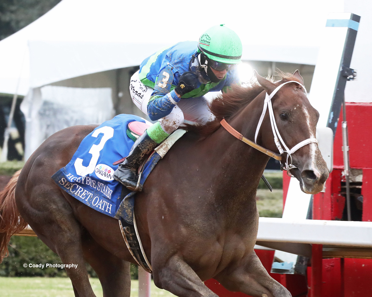 Daily Racing Form on Twitter: