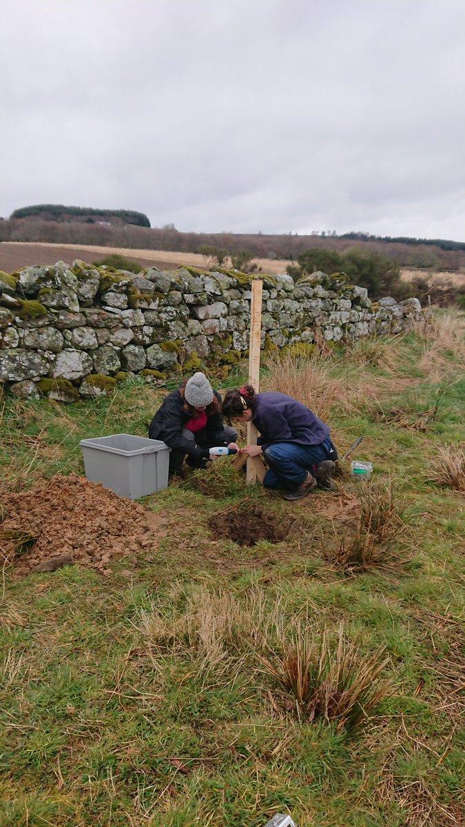 PICTS (@picts_project) on Twitter photo Quite a bit of digging and a lot of mud but some scenic views of Clachnaben as <a href="/seismo_amy/">Amy Gilligan</a> <a href="/Heather52100/">Heather Kennedy</a> and <a href="/sophiakibaker/">Sophia Baker</a> deployed another seismometer on the Finzean Estate today! Quite a bit of digging and a lot of mud but some scenic views of Clachnaben as <a href="/seismo_amy/">Amy Gilligan</a> <a href="/Heather52100/">Heather Kennedy</a> and <a href="/sophiakibaker/">Sophia Baker</a> deployed another seismometer on the Finzean Estate today!