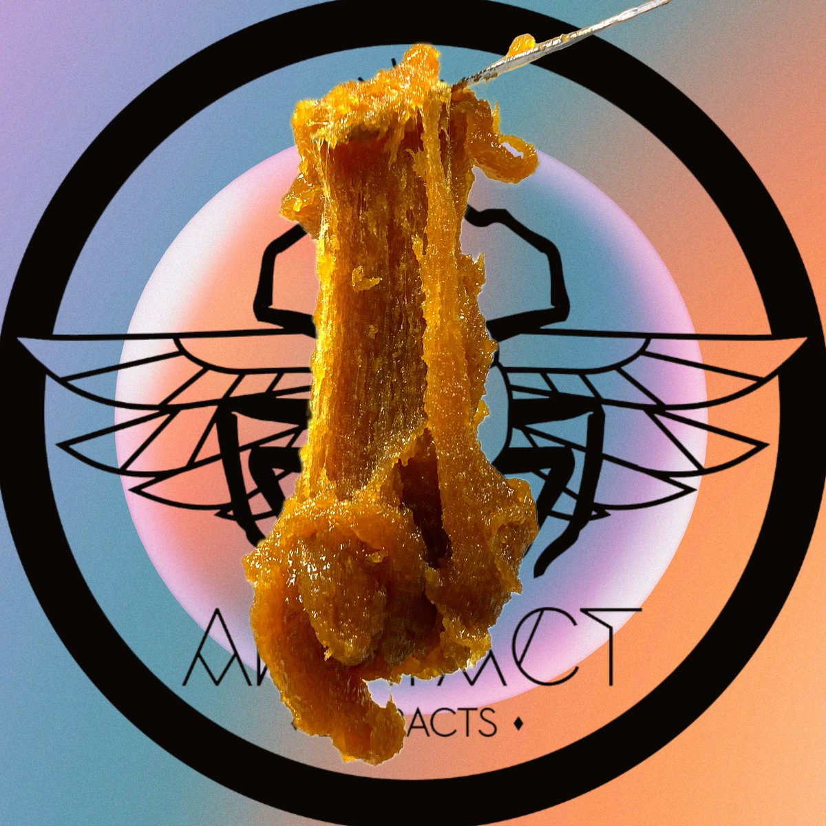 Artifact Extracts tweet media