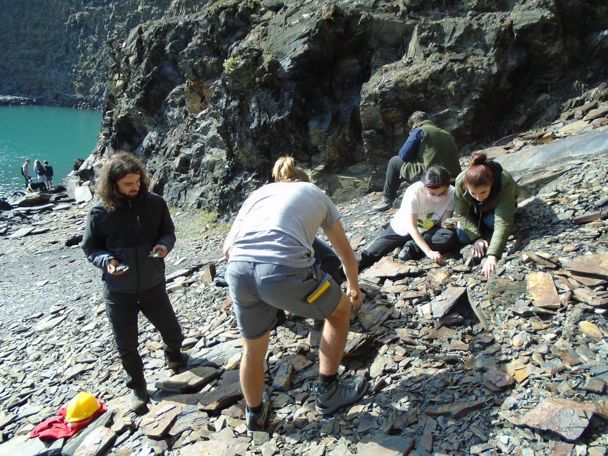 MarkPalaeo's tweet photo. Day 6, and a total #graptolite bonanza at the Blue Lagoon, Abereiddy Bay. Never seen so many Didymograptus, they must have been waiting for us to return this past three years @GeologyLeics https://t.co/hWIkweu1xU