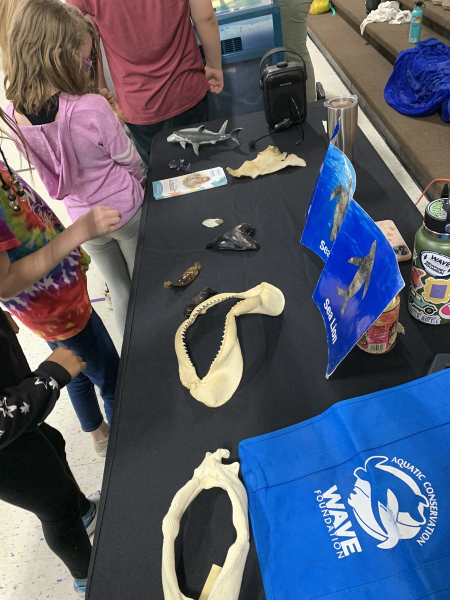 Nicole Hertel tweet media