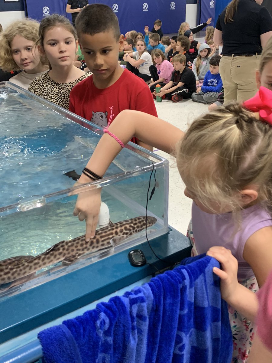 Nicole Hertel tweet media