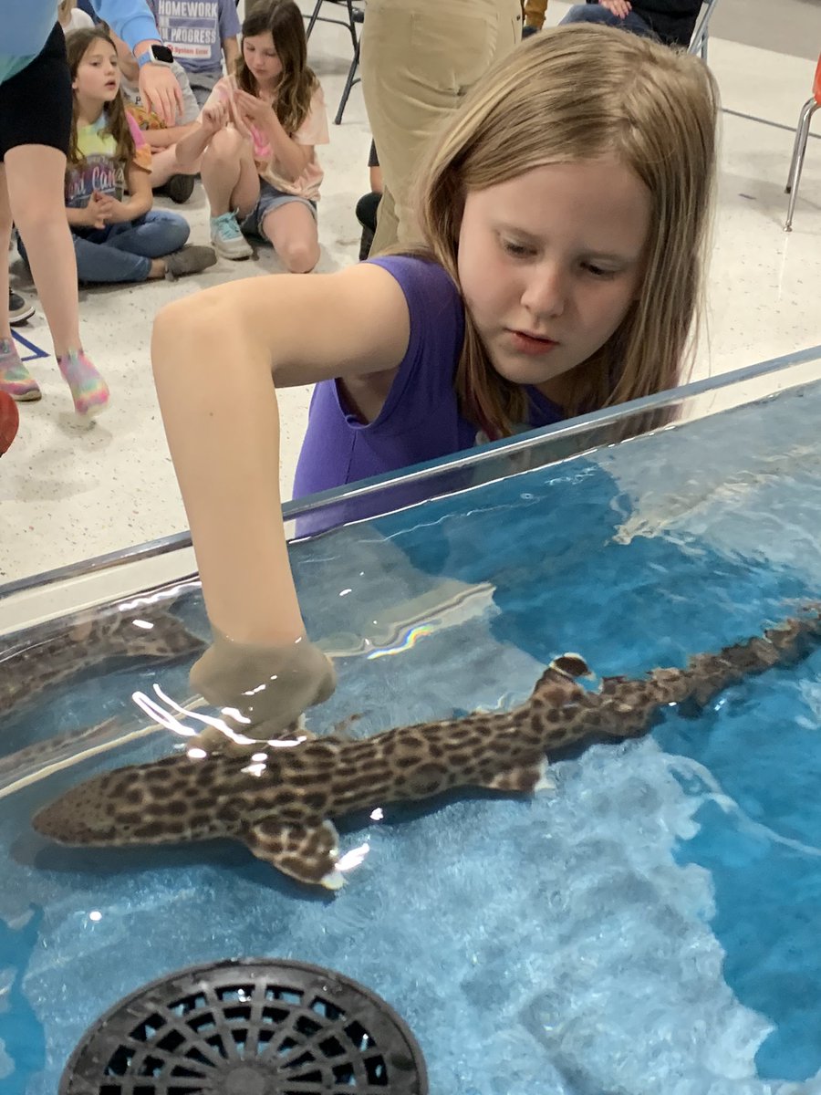 Nicole Hertel tweet media