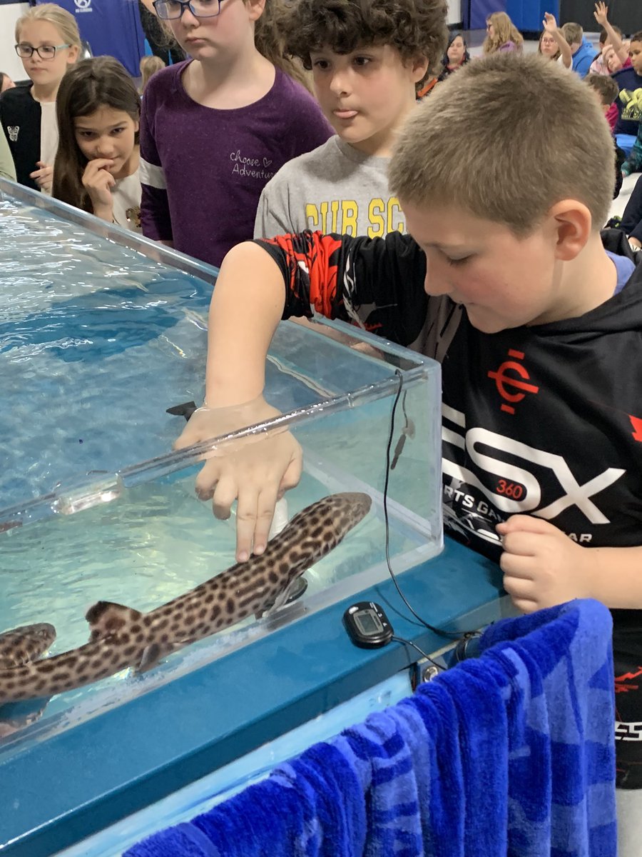 Nicole Hertel tweet media