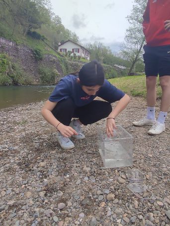 Dans le cadre des activités de #iex , découverte des amphibiens en partenariat avec le CPIE pour nos internes.
<a href="/dsden64/">DSDEN64</a> <a href="/SaintJean64220/">Saint Jean Pied de Port</a> <a href="/AcBordeaux/">Académie de Bordeaux</a> <a href="/NvelleAquitaine/">Nouvelle-Aquitaine</a>