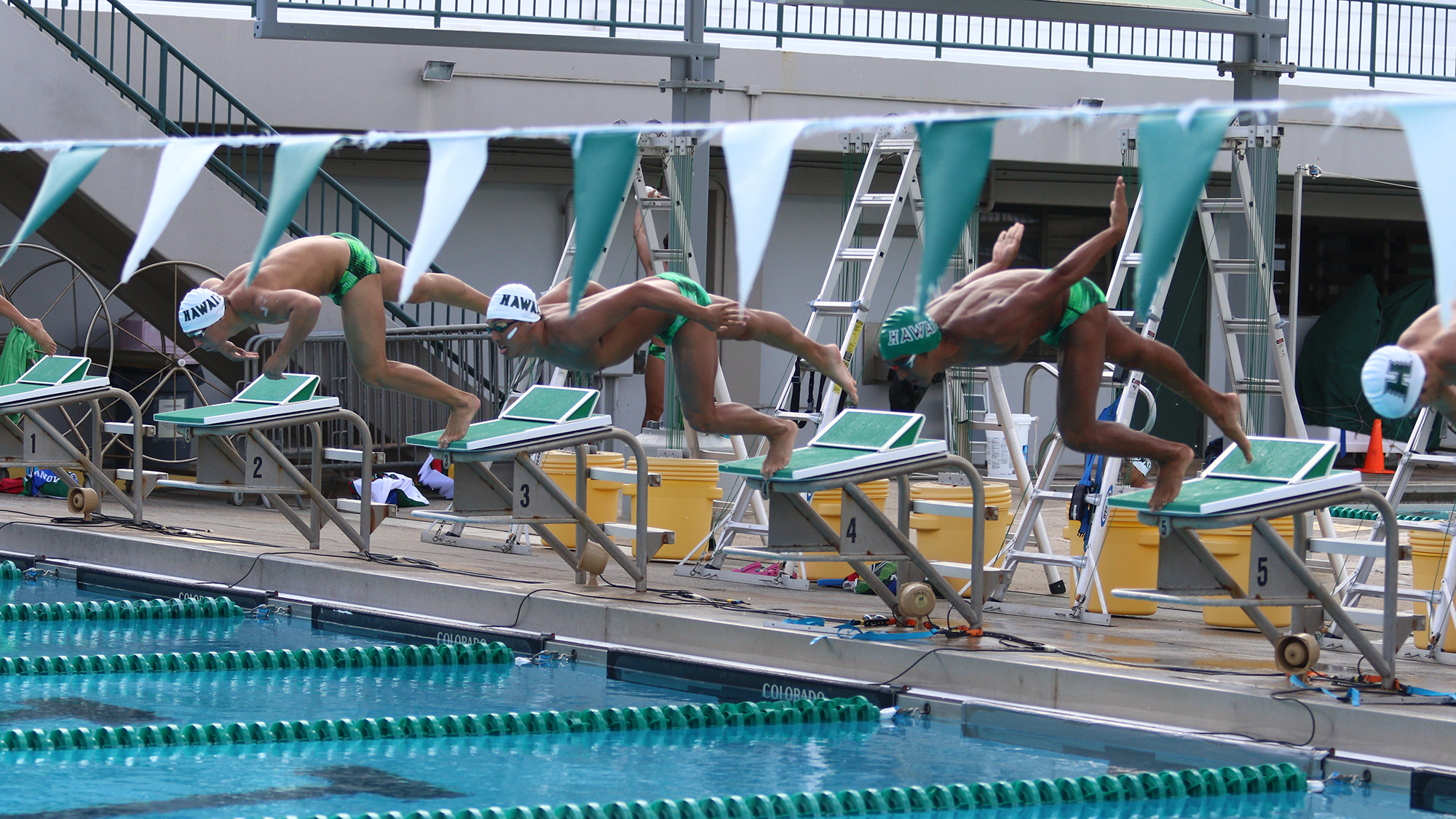 MPSF Swim & Dive (MPSFSwimDive) / Twitter