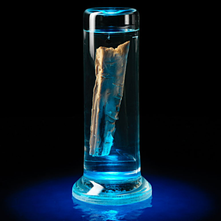 GISEd's tweet image. Happy #WhaleWednesday! 🐋

Learn about whale earwax and more #ObjectsOfWonder from the comfort of your home—or classroom—with our NEW interactive Story @ArcGISStoryMaps! esri.social/2mON50IJ471

@NMNH @smithsonian