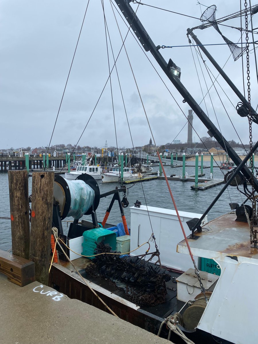 FishAlliance's tweet photo. Windy and rainy spring day in Provincetown means a good day for boat work.
#fishalliance #capecod #ptown #workingwaterfronts https://t.co/bggzqzf6OH