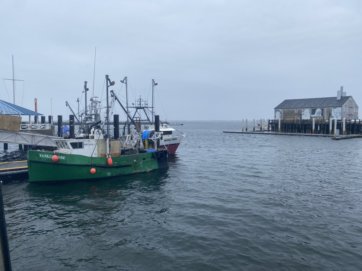FishAlliance's tweet photo. Windy and rainy spring day in Provincetown means a good day for boat work.
#fishalliance #capecod #ptown #workingwaterfronts https://t.co/bggzqzf6OH