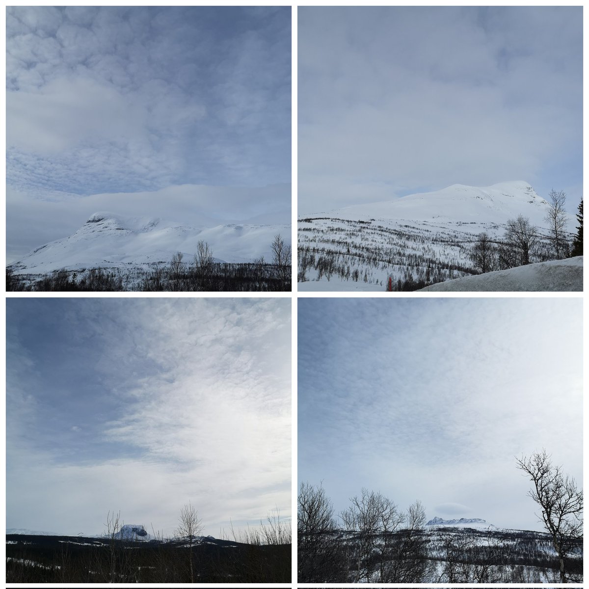 Indre Helgeland og over i Sverige ❤️