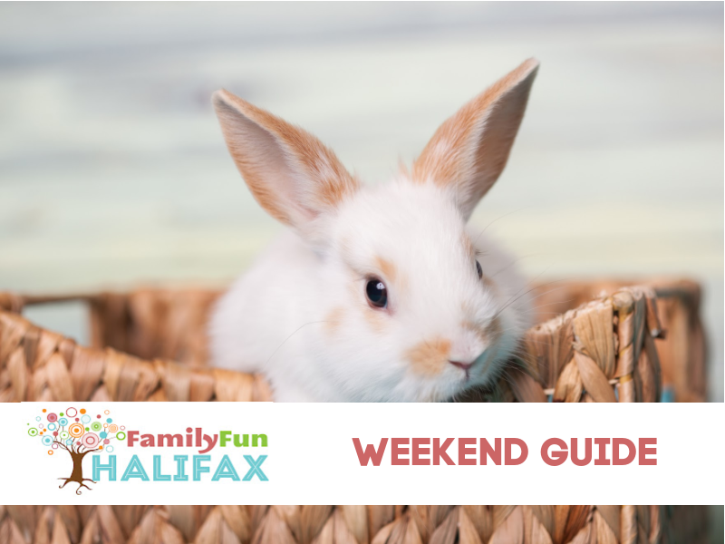 familyfunyhz's tweet photo. Check out these events going on to keep you hoppin' through the weekend. Happy Easter, Halifax!
https://t.co/UstAoMUSui https://t.co/tSeDbyUFMB