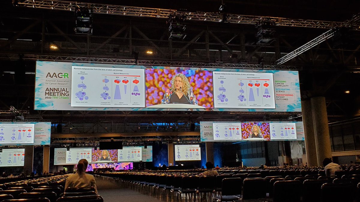 Dave Gennert (@davegennert) on Twitter photo Wrapping up my #AACR22 with <a href="/BCD_AACR/">Blood Cancer Discovery</a> Sci Editor Emmanuelle Passegué laying out dysreg'ed hem #stemcells in myeloid malignancy. Check out the latest from <a href="/ChristineRCZ/">Christine R Zhang</a> in BCD on mechanism behind DNMT3A-CH HSPC fitness: bit.ly/3KIjQuL <a href="/challenlab/">Grant Challen</a> Wrapping up my #AACR22 with <a href="/BCD_AACR/">Blood Cancer Discovery</a> Sci Editor Emmanuelle Passegué laying out dysreg'ed hem #stemcells in myeloid malignancy. Check out the latest from <a href="/ChristineRCZ/">Christine R Zhang</a> in BCD on mechanism behind DNMT3A-CH HSPC fitness: bit.ly/3KIjQuL <a href="/challenlab/">Grant Challen</a>