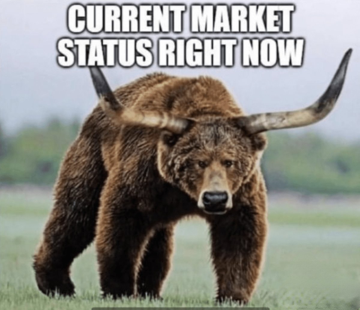 kucoincom's tweet photo. Current market🙃

#cryptomemes https://t.co/NjefKw8ZyY