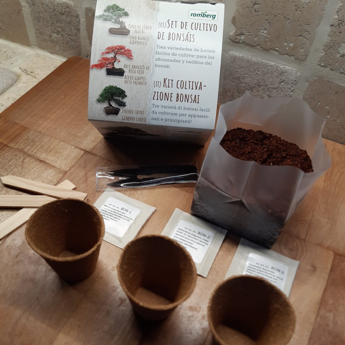 PaolassoUmberto's tweet photo. GM from my garden 😊🌳

Today I've plant 3 new Bonsai seed, a white pine, a red Mable and a chinese juniper 🌱🌱

#Bonsai #NFTCommunity #nftcollector #NFTartist #gardening #projectplanfts https://t.co/LZGZYHtdFj